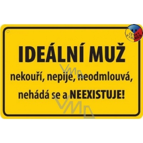 Nekupto Humorná ceduľka Ideálny muž 15x10 cm 1 kus