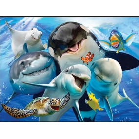Prime3D pohľadnice - Ocean Selfie 16 x 12 cm