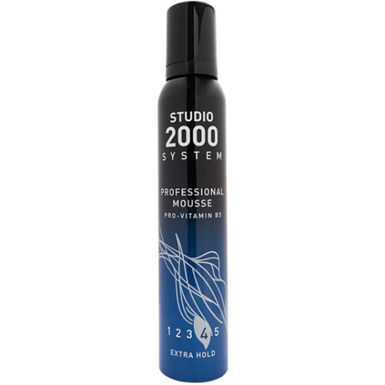 Studio Professional Pena na vlasy, provitamín B5 225 ml