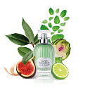 Laura Biagiotti Aqve Romane Divinium Ficus toaletná voda pre ženy 100 ml