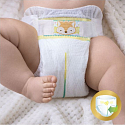 Pampers Premium Care 4 Maxi 8-14 kg plienkové nohavičky 52 kusov