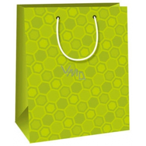 Ditipo Darčeková papierová taška 18 x 10 x 22,7 cm svetlo zelená
