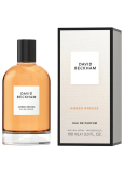 David Beckham Amber Breeze parfumovaná voda pre mužov 100 ml