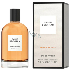 David Beckham Amber Breeze parfumovaná voda pre mužov 100 ml