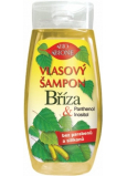 Bion Cosmetics Breza & Panthenol šampón na vlasy 255 ml