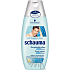 Schauma for Men proti lupinám šampón na vlasy 250 ml