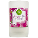 Air Wick Pink Sweet Pea - Ružový hrachor XXL vonná sviečka sklo 310 g