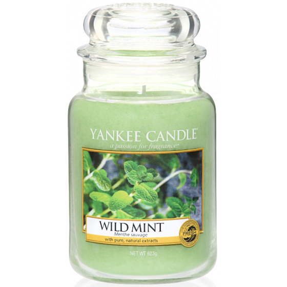 Yankee Candle Wild Mint - Divoká mäta vonná sviečka Classic veľká sklo 623 g