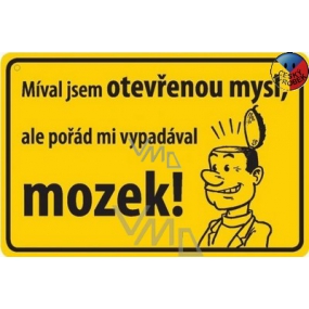 Nekupto Humorná ceduľka Mával som otvorenú myseľ 15x10 cm 1 kus