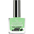 Golden Rose Rich Color Nail Lacquer lak na nechty 070 10,5 ml