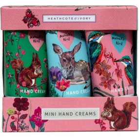 Heathcote & Ivory Forest Animals krém na ruky a nechty 3 x 30 ml, kozmetická sada