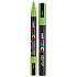 Posca Univerzálny akrylový popisovač 0,9 - 1,3 mm zelený Apple PC-3M