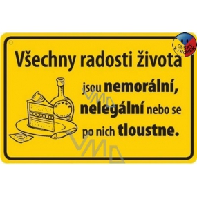 Nekupto Humorná ceduľka Všetky radosti života 15x10 cm 1 kus