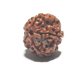 Rudrakša prírodný korálik 18 mm 1 kus