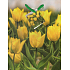 Nekupto Darčeková papierová taška 23 x 18 x 10 cm Žlté tulipány 1 kus 951 01 BM