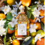 Guerlain Aqua Allegoria Harvest Mandarine Basilic toaletná voda pre ženy 125 ml