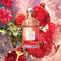 Guerlain Aqua Allegoria Granada Salvia toaletná voda pre ženy 30 ml