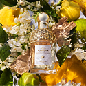 Guerlain Aqua Allegoria Bergamote Calabria sprchový gél unisex 200 ml