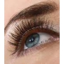 Miss Sporty Lash Millionaire Chic riasenka pre objem čierna 8 ml