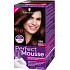 Schwarzkopf Perfect Mousse Inovatívna Foam Color farba na vlasy 388 Tmavo červenohnedý