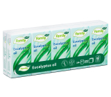 Tento Fresh Eucalyptus hygienické vreckovky 3 vrstvové 10 kusov
