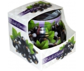 Admit Black Currant - Čierne ríbezle dekoratívne aromatická sviečka v skle 80 g