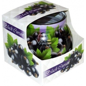 Admit Black Currant - Čierne ríbezle dekoratívne aromatická sviečka v skle 80 g