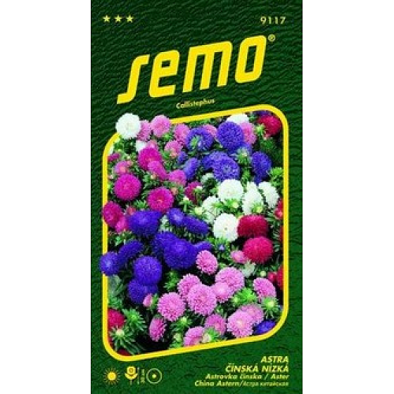 Semo Astra Čínska nízka Colour Carpet - zmes 0,5 g