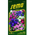 Semo Astra Čínska nízka Colour Carpet - zmes 0,5 g