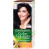 Garnier Color Naturals farba na vlasy 1+ ultra čierna