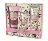 Somerset Toiletry Biely Jazmín luxusný telový krém 130 ml + sprchový gél 200 ml + luxusný krém na ruky 60 ml, kozmetická sada