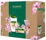 Palmolive Almond Naturals Almond & Milk sprchový krém 250 ml + Naturals Delicate Care s mandľovým mydlom 90 g, kozmetická sada pre ženy