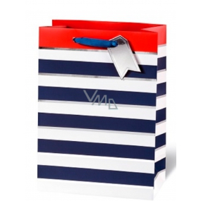 BSB Luxusná darčeková papierová taška 36 x 26 x 14 cm Modro-biele prúžky LDT 392 - A4