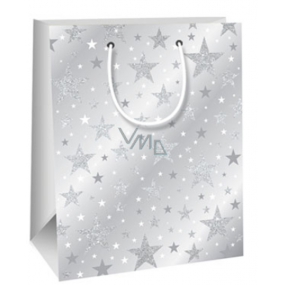 Ditipo Darčeková papierová taška Glitter 18 x 10 x 22,7 cm šedá, hviezdy QC