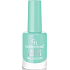 Golden Rose Color Expert lak na nechty 67 10,2 ml