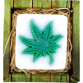 Bohemia Gifts Cannabis ručne vyrábané toaletné mydlo v krabičke 80 g