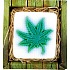Bohemia Gifts Cannabis ručne vyrábané toaletné mydlo v krabičke 80 g