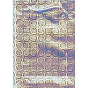 Nekupto Darčeková papierová taška hologram 32,5 x 26 x 13 cm Strieborná 050 02 THL