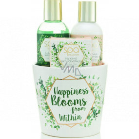 SK S&G Spa Happiness Blooms from Within telové mydlo 100 ml + telové mlieko 100 ml + kúpeľové kryštáliky 50 g, kozmetická sada v kvetináči