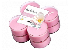 Bolsius Aromatic 2.0 Magnólia - Magnólia maxi vonné čajové sviečky 8 kusov, doba horenia 8 hodín
