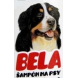 Tatrachema Bela Tatrachema Bela