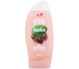 Radox Feel Detoxed obnovujúci zmes ílu a vôňa Acai bobúľ oživujúci sprchový gél 250 ml