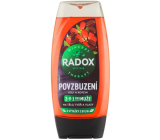 Radox Men 3v1 povzbudzujúci sprchový gél s goji a kofeínom pre mužov 225 ml
