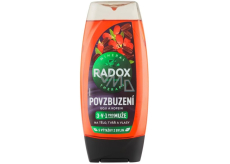 Radox Men 3v1 povzbudzujúci sprchový gél s goji a kofeínom pre mužov 225 ml