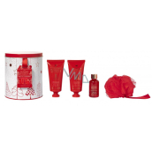 Grace Cole Wild Fig & Cranberry sprchový gél 100 ml + telový krém 100 ml + pena do kúpeľa 50 ml + hubka do kúpeľa + plechová krabička, kozmetická sada pre ženy