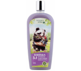 Bohemia Gifts Herbs Blueberry 3v1 sprchový gél, šampón a pena do kúpeľa pre deti 500 ml