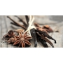 Millefiori Milano Natural Vanilla & Wood - Vanilka a Drevo Difuzér 100 ml + Náplň difuzéra pre vonná steblá 250 ml, darčeková sada