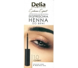 Delia Cosmetics Instant Eyebrown Tint farba na obočie 1.0 čierna 6 ml