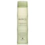 Alterna Bamboo Luminous Shine bambusový šampón pre trblietavý lesk 250 ml