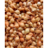 Štutgardská sadzačka cibule vážená 250 g